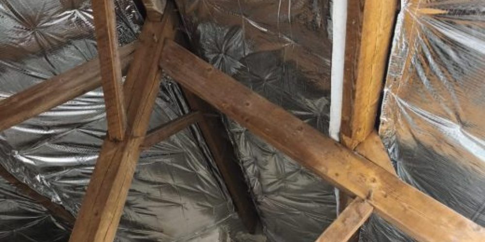 WhatsAppImage2025-10-03at13.34.021-rco1c4ghakk239wh6hqj5fq8hj1mp30ch5nwzzvj4w (1)