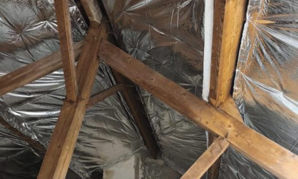 WhatsAppImage2025-10-03at13.34.021-rco1c4ghakk239wh6hqj5fq8hj1mp30ch5nwzzvj4w (1)